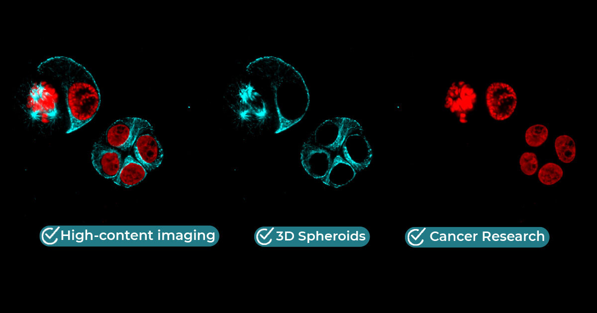 High-Content Imaging Banner